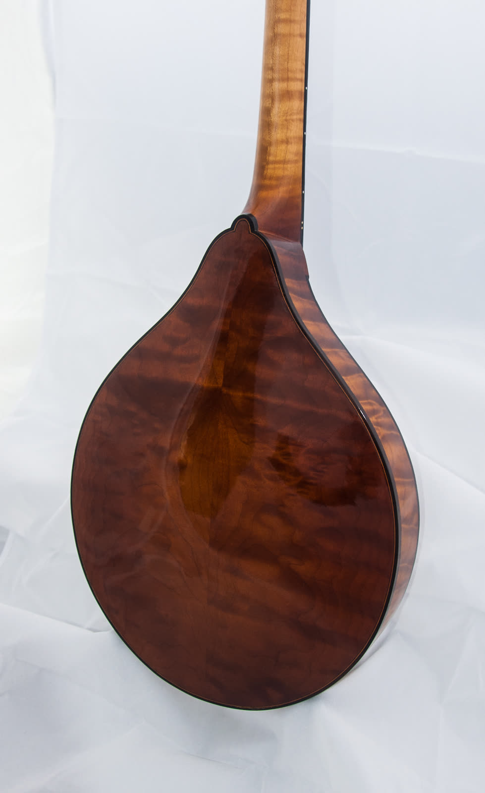A-model mandolin, back, quilted maple