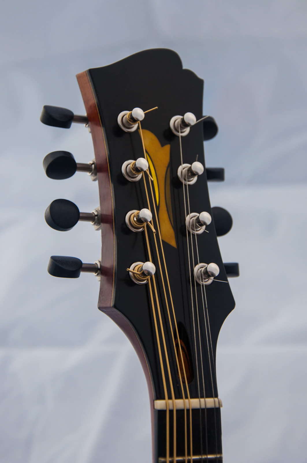 A-model mandolin, peghead, ebony