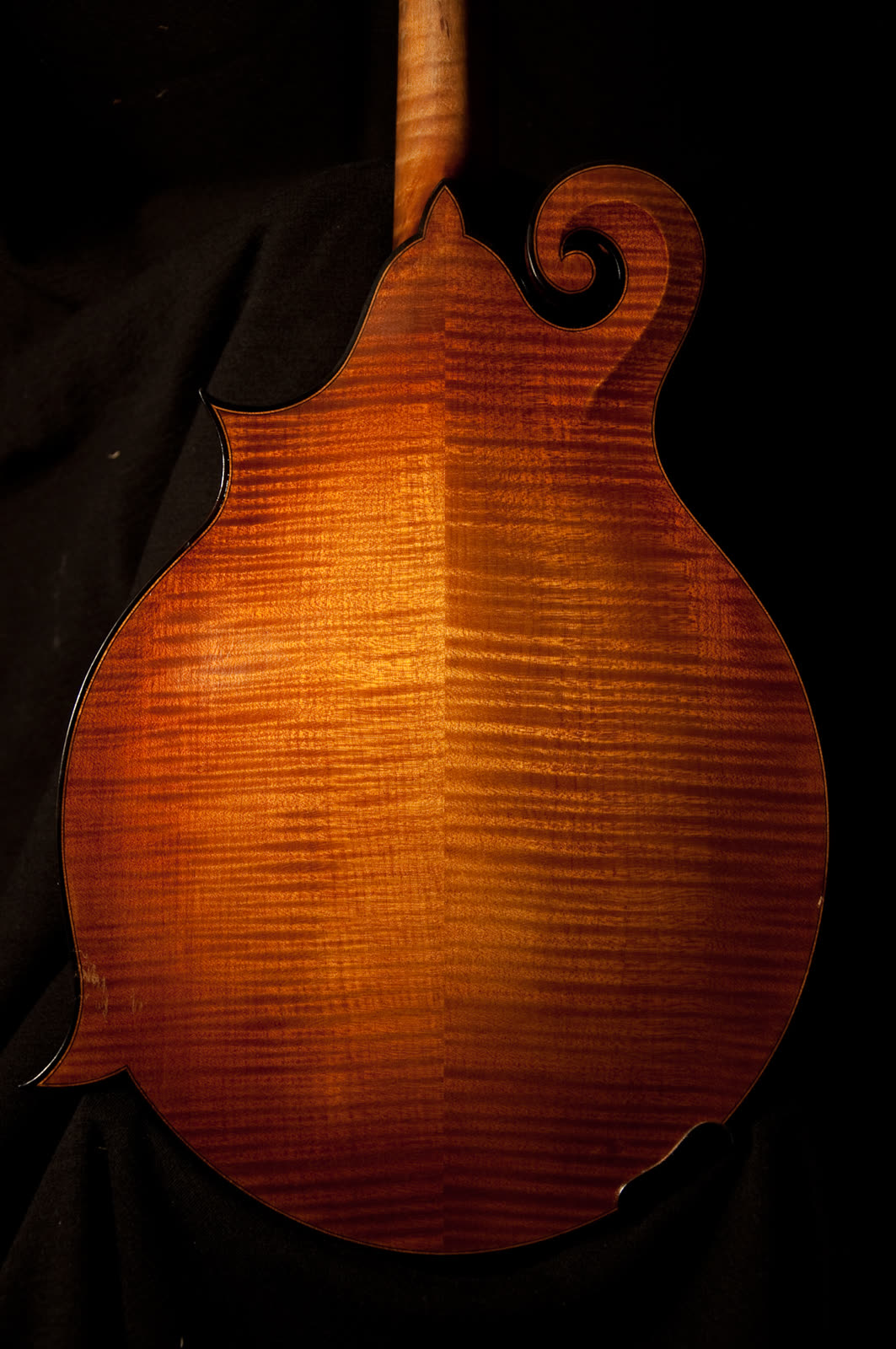 F-model mandolin — back, flamed maple with deep sunburst finish