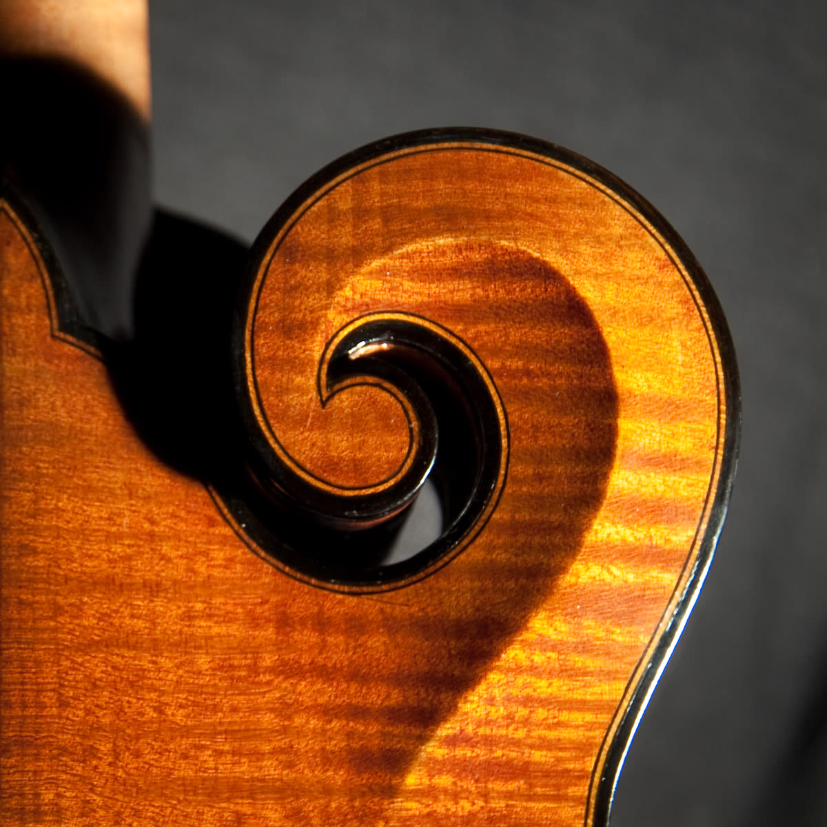 F-model mandolin, scroll, flamed maple, ebony