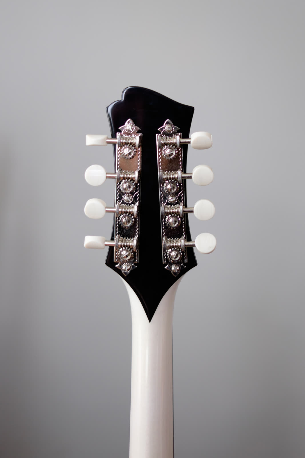 A-model mandolin, peghead, painted