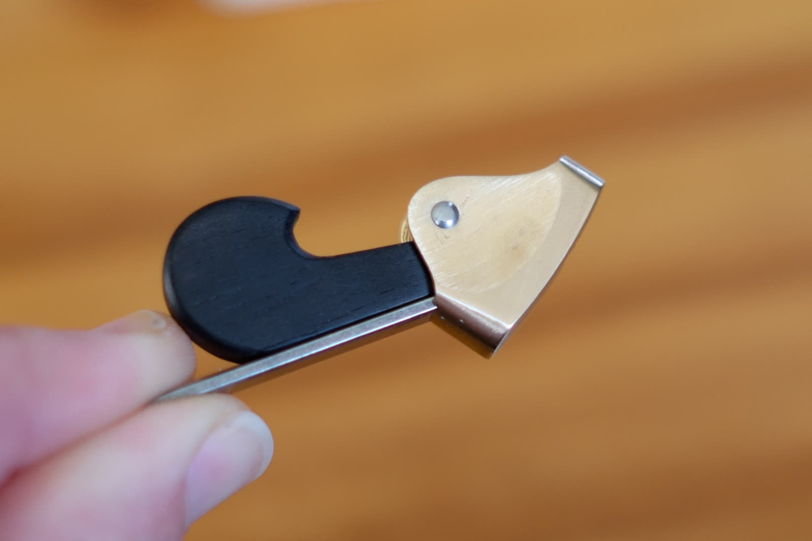 Miniconvex thumb plane, ebony wedge, silicon bronze