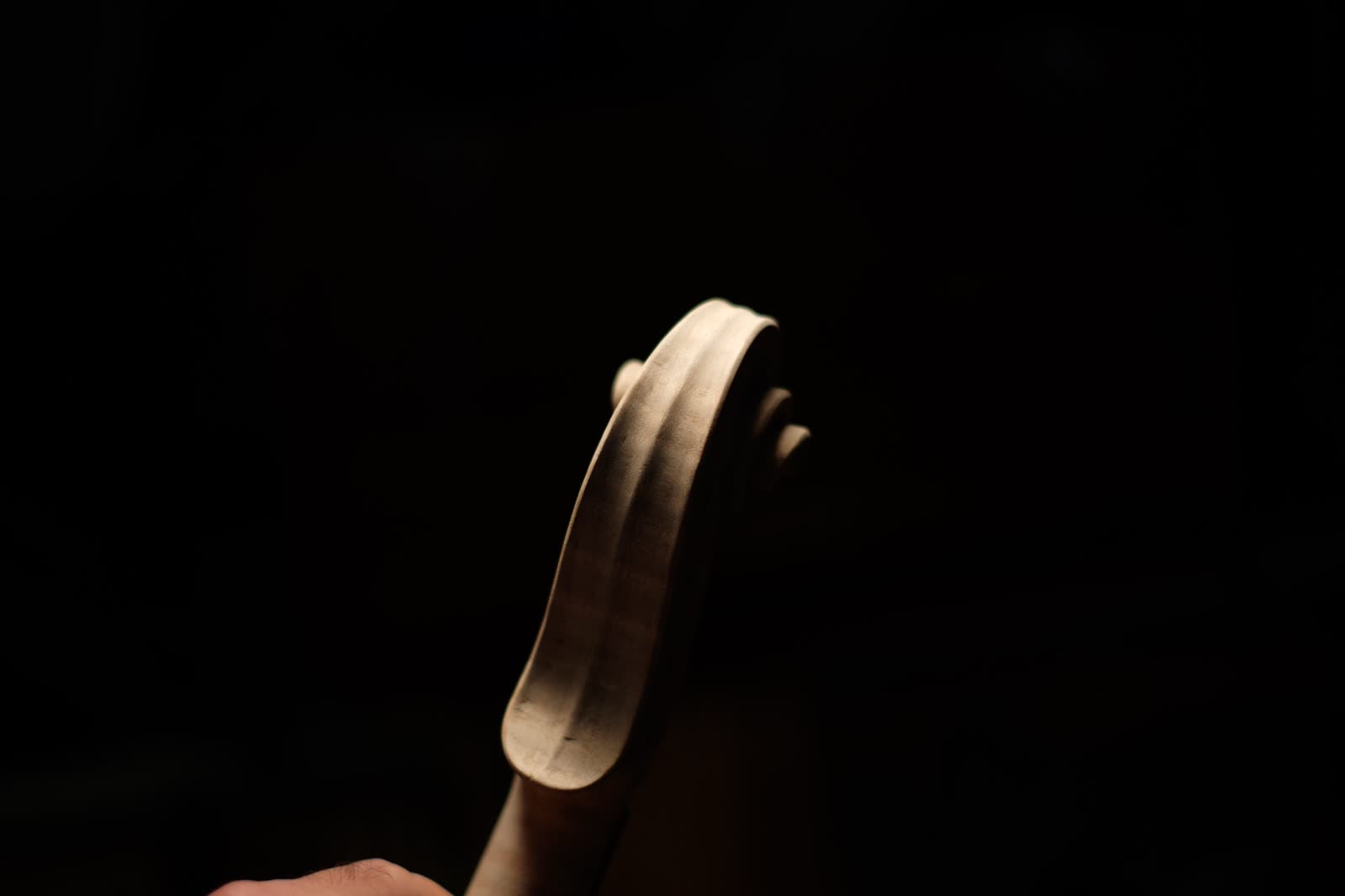 Violin scroll — volute, maple, lit sharply against a near-black background