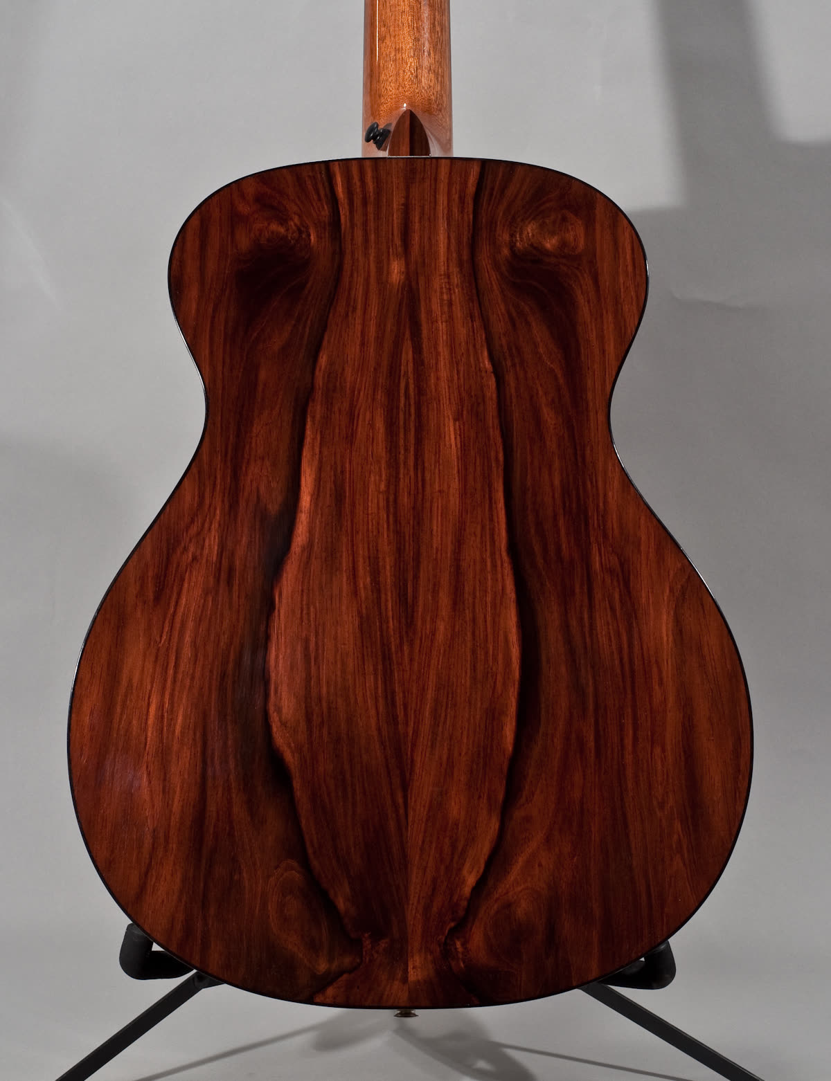 Orchestra Model guitar, back, brazilian rosewood