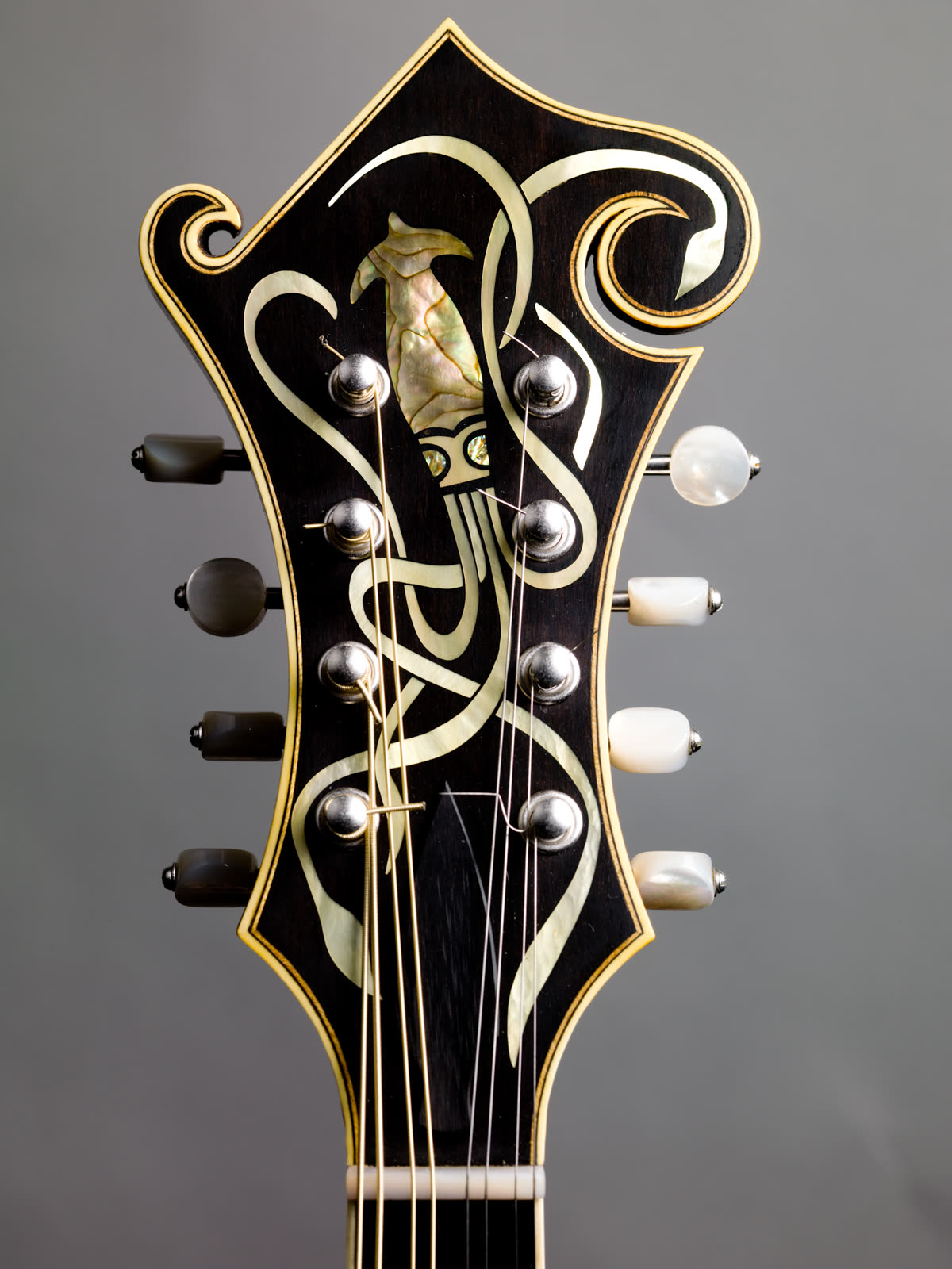 F-model mandolin, headstock, ebony, abalone, pearl