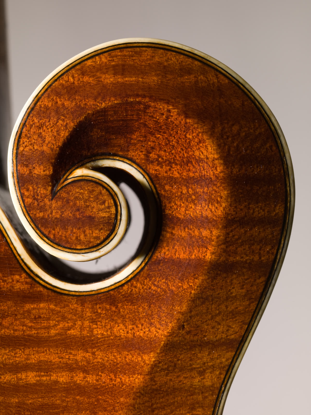 F-model mandolin, scroll, flamed maple, willow, ebony