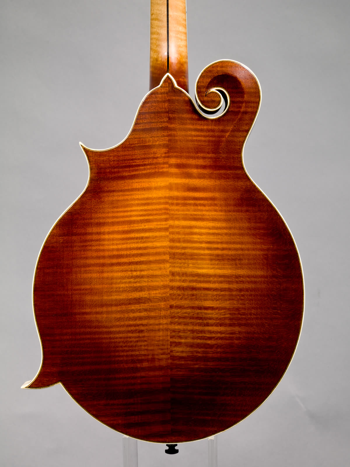 F-model mandolin — back, flamed maple with sunburst finish, on a stand