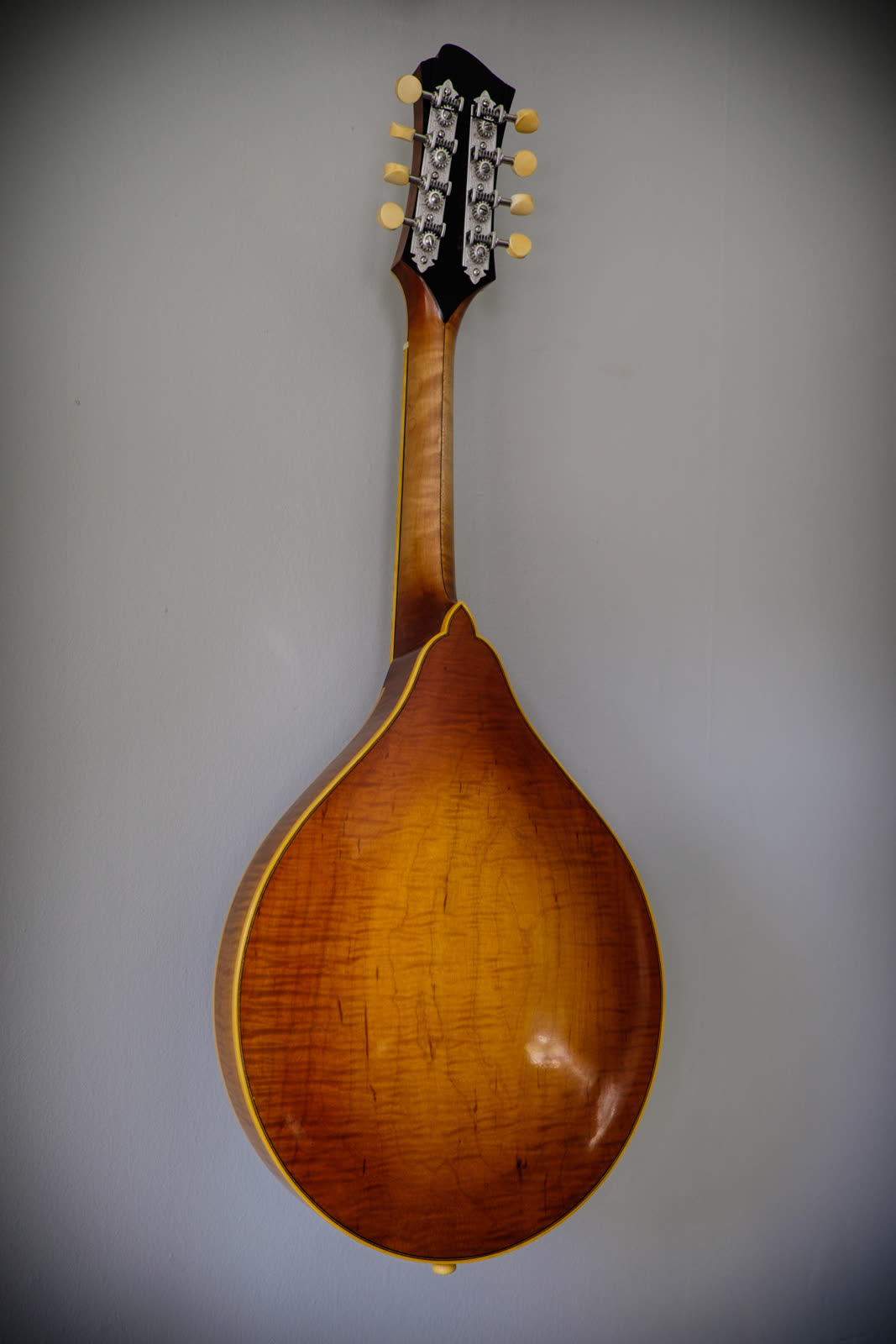 A-model mandolin, back, rock maple