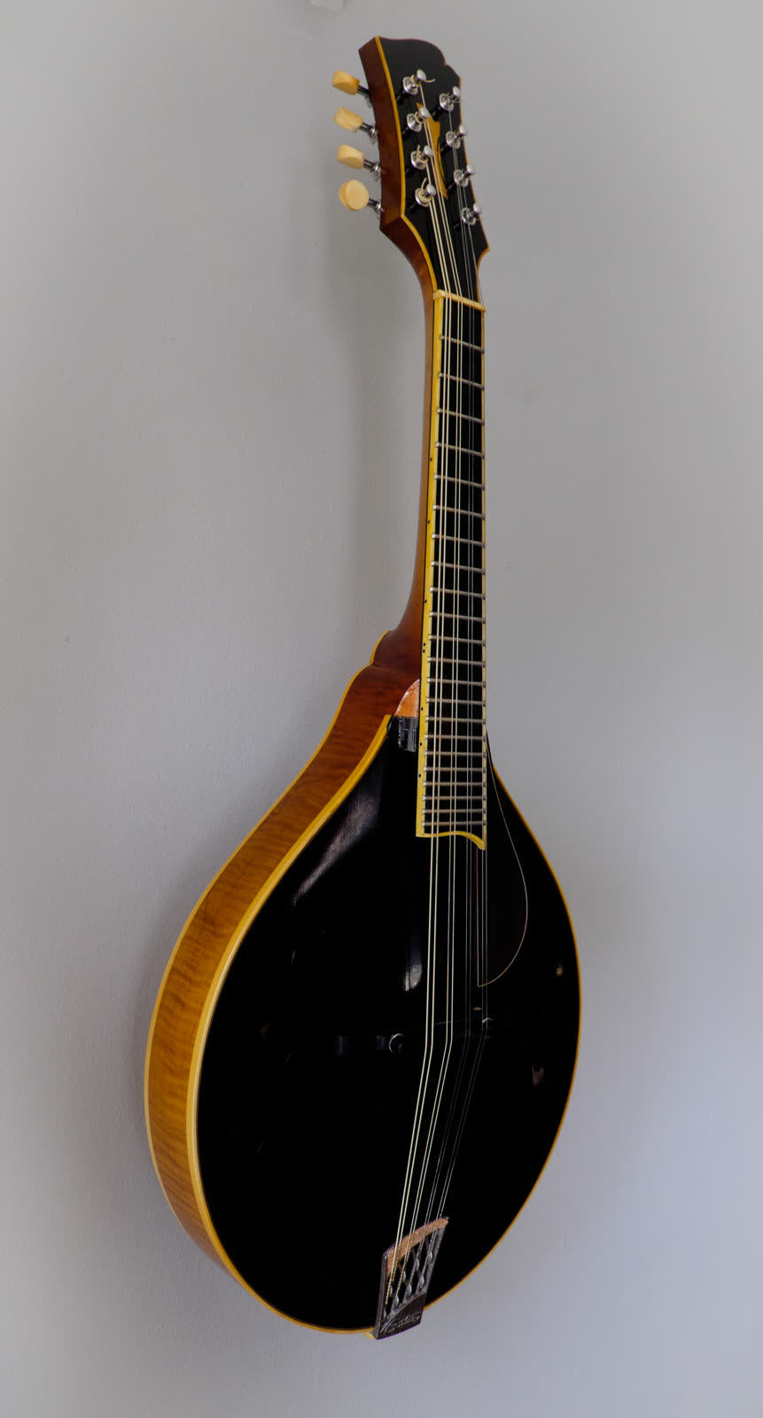 A-model mandolin, side, black lacquer, ivoriod