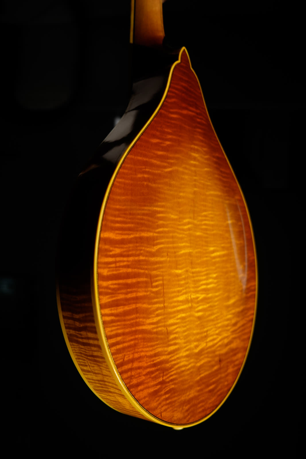 A-model mandolin, back, curly rock maple