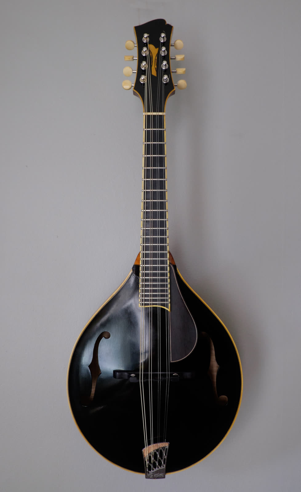 A-model mandolin — top, black lacquer, amber-bound edges